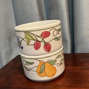TWO Dansk Umbrian Fruits Ramekins 4 1/4" - Discontinued!